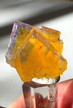 Load image into Gallery viewer, Excellent Minerva Fluorite Crystal Specimen