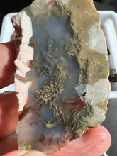 Load image into Gallery viewer, Priday Plume Agate Rough Parcel