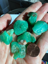 Load image into Gallery viewer, Australian Chrysoprase Cutting Rough