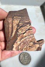 Load image into Gallery viewer, Deschutes Picture Jasper Rough Slab