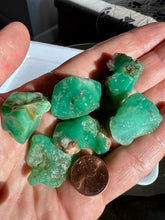 Load image into Gallery viewer, Australian Chrysoprase Cutting Rough