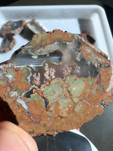 Load image into Gallery viewer, Priday Plume Agate Rough Parcel