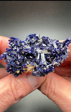 Load image into Gallery viewer, Lustrous Azurite Crystal Cluster
