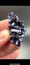 Load image into Gallery viewer, Lustrous Azurite Crystal Cluster
