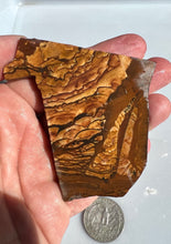 Load image into Gallery viewer, Deschutes Picture Jasper Rough Slab