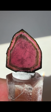 Load image into Gallery viewer, Brazilian Watermelon Tourmaline Slice