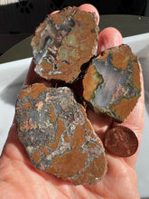 Load image into Gallery viewer, Priday Plume Agate Rough Parcel