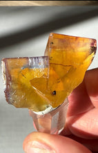 Load image into Gallery viewer, Excellent Minerva Fluorite Crystal Specimen