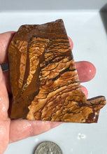 Load image into Gallery viewer, Deschutes Picture Jasper Rough Slab