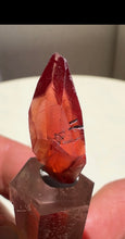 Load image into Gallery viewer, N'Chwaning Mine Rhodochrosite Scalenohedral Crystal