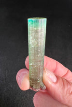 Load image into Gallery viewer, DT Watermelon Tourmaline Crystal
