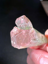 Load image into Gallery viewer, DT Watermelon Tourmaline Crystal