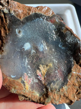 Load image into Gallery viewer, Priday Plume Agate Rough Parcel