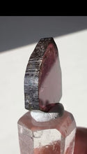 Load image into Gallery viewer, Brazilian Watermelon Tourmaline Slice