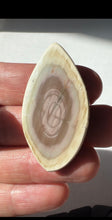 Load image into Gallery viewer, Imperial Jasper Cabochon