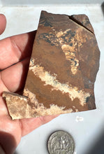Load image into Gallery viewer, Deschutes Picture Jasper Rough Slab