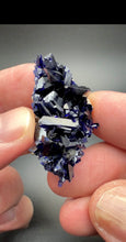 Load image into Gallery viewer, Lustrous Azurite Crystal Cluster