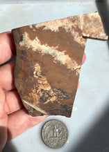 Load image into Gallery viewer, Deschutes Picture Jasper Rough Slab