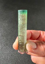 Load image into Gallery viewer, DT Watermelon Tourmaline Crystal