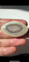 Load image into Gallery viewer, Imperial Jasper Cabochon