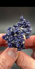 Load image into Gallery viewer, Lustrous Azurite Crystal Cluster