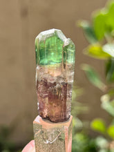 Load image into Gallery viewer, Juicy Brazilian Tourmaline Crystal