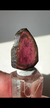 Load image into Gallery viewer, Brazilian Watermelon Tourmaline Slice
