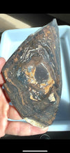 Load image into Gallery viewer, Biggs Blue Jasper Rough Slab
