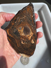 Load image into Gallery viewer, Biggs Blue Jasper Rough Slab
