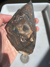 Load image into Gallery viewer, Biggs Blue Jasper Rough Slab
