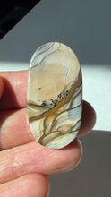 Load image into Gallery viewer, Blue Biggs Picture Jasper Cabochon
