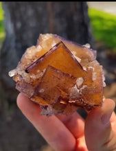 Load image into Gallery viewer, Illinois Fluorite Mineral Specimen
