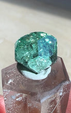 Load image into Gallery viewer, Natural Tsavorite Crystal Specimen
