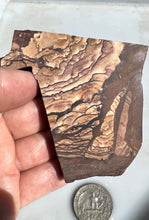 Load image into Gallery viewer, Deschutes Picture Jasper Rough Slab
