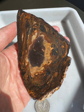 Load image into Gallery viewer, Biggs Blue Jasper Rough Slab
