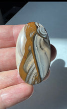 Load image into Gallery viewer, Blue Biggs Picture Jasper Cabochon
