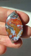 Load image into Gallery viewer, Wingate Plume Agate Cabochon
