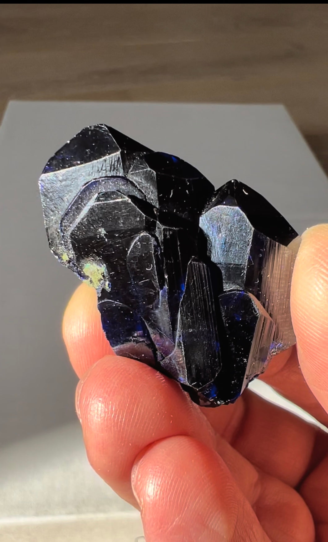 Top Shelf Tsumeb Azurite Crystal