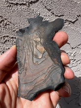 Load image into Gallery viewer, Biggs Jasper Rough Slab
