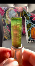 Load image into Gallery viewer, Brazilian Watermelon Tourmaline Crystal
