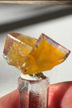 Load image into Gallery viewer, Excellent Minerva Fluorite Crystal Specimen
