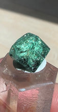 Load image into Gallery viewer, Natural Tsavorite Crystal Specimen
