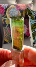 Load image into Gallery viewer, Brazilian Watermelon Tourmaline Crystal
