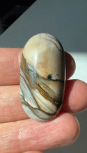 Load image into Gallery viewer, Blue Biggs Picture Jasper Cabochon

