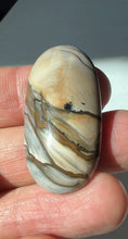 Load image into Gallery viewer, Blue Biggs Picture Jasper Cabochon
