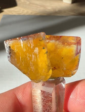 Load image into Gallery viewer, Excellent Minerva Fluorite Crystal Specimen
