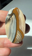 Load image into Gallery viewer, Blue Biggs Picture Jasper Cabochon
