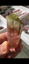 Load image into Gallery viewer, Large Congo Tourmaline Crystal
