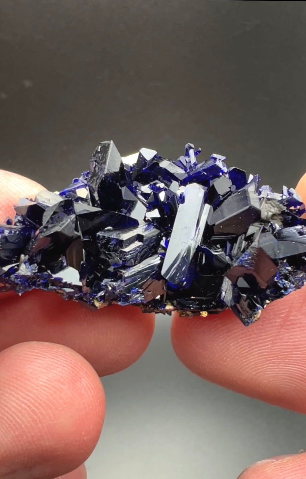 Lustrous Azurite Crystal Cluster