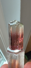 Load image into Gallery viewer, Facet Grade Congo Tourmaline Crystal
